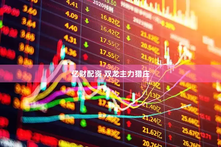 亿财配资 双龙主力猎庄