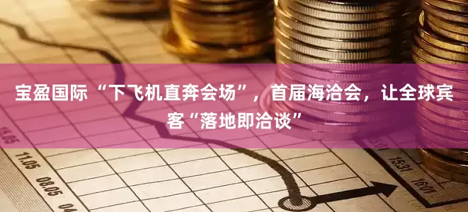 宝盈国际 “下飞机直奔会场”，首届海洽会，让全球宾客“落地即洽谈”