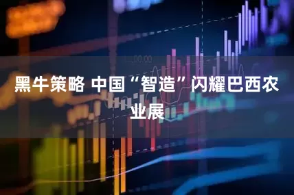 黑牛策略 中国“智造”闪耀巴西农业展