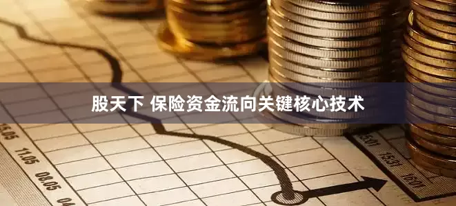 股天下 保险资金流向关键核心技术